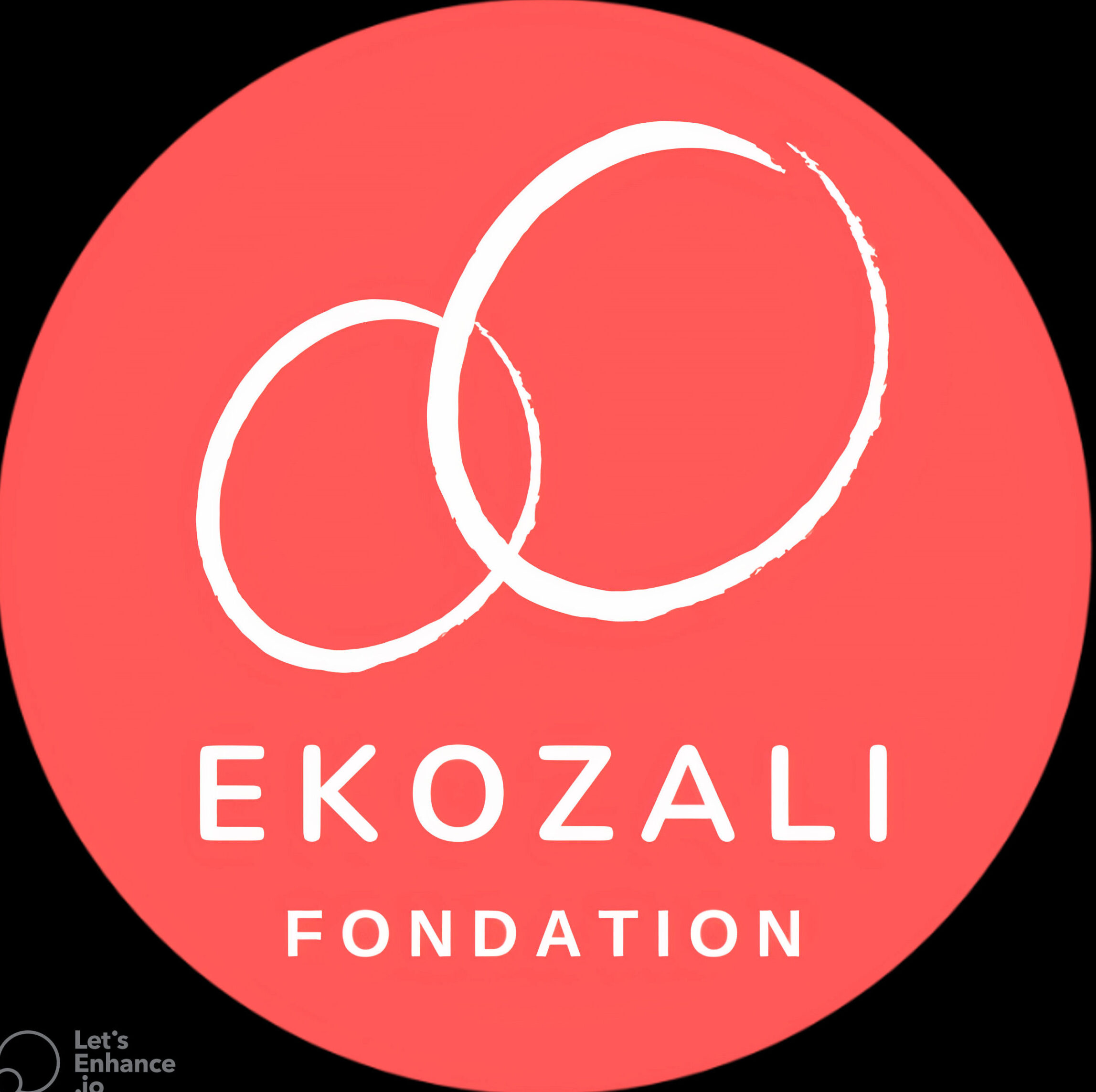 Accueil Ekozali - Incubia Algérie partenaire